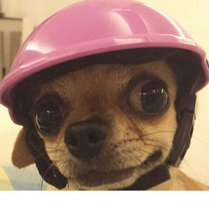 Meet your Posher, Addison